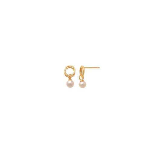 9ct Yellow Gold Pearl Studs