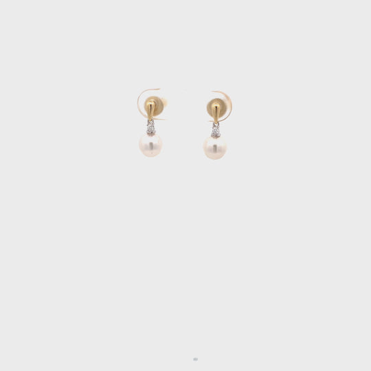 18ct Yellow Gold Akoya Pearl Earrings