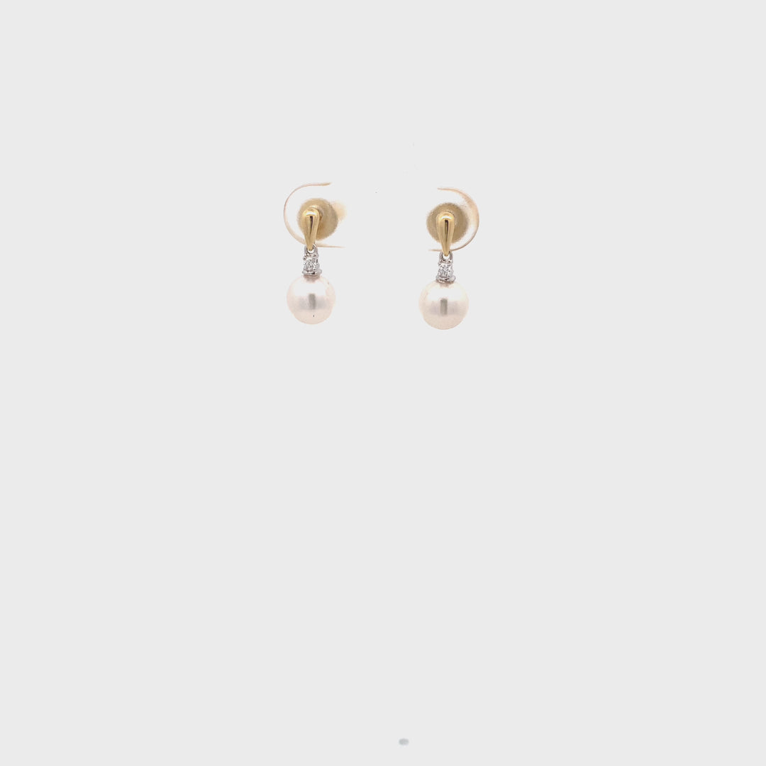 18ct Yellow Gold Akoya Pearl Earrings