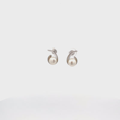 20041601__2023-10-09-15-23-26.mp4